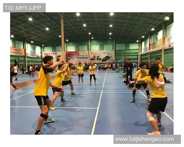 广州排球队总决赛精彩表现分析与未来展望